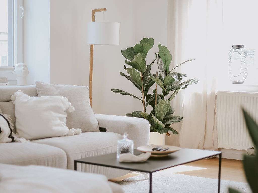 Erfolgreiche Mieterbewerbung mit der Traumimmobilien-Vorlage