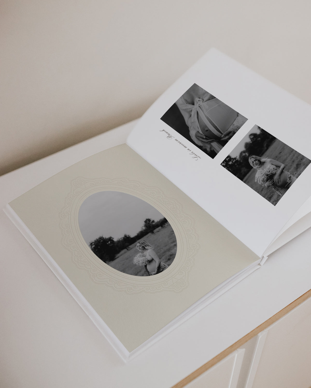 d54ecceb-c650-4fac-99a7-52ce9d28d048