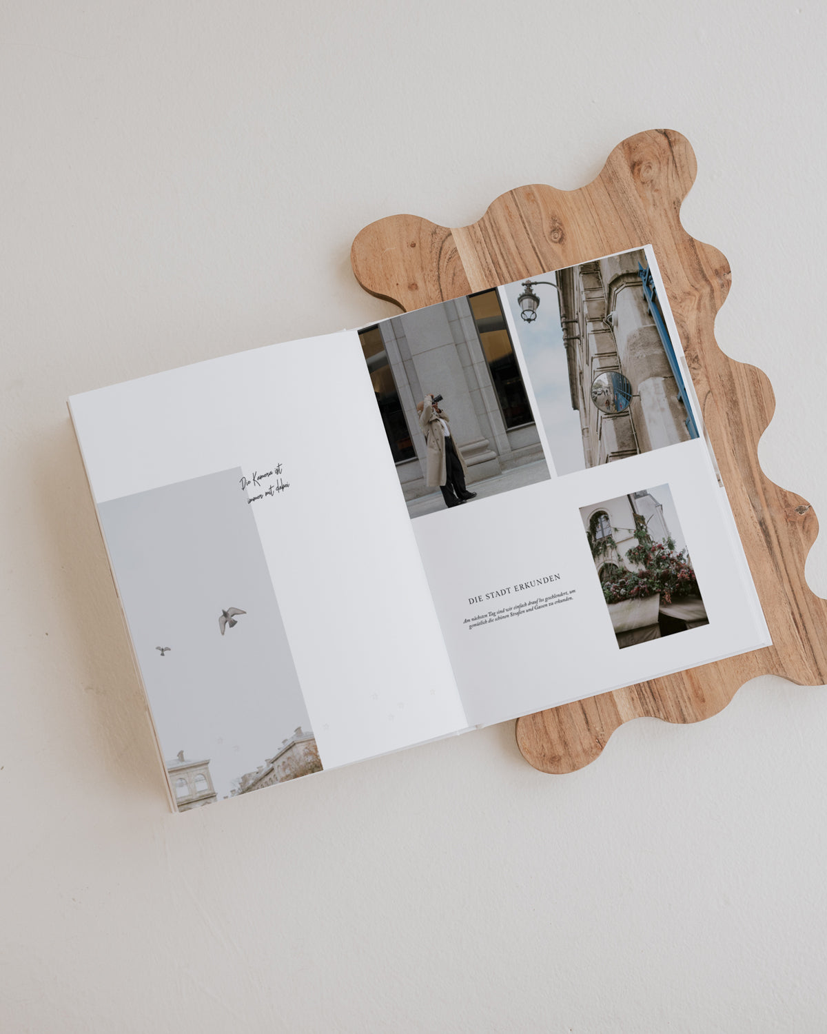 ec6a563e-469b-4964-a77c-ae41a919b79d