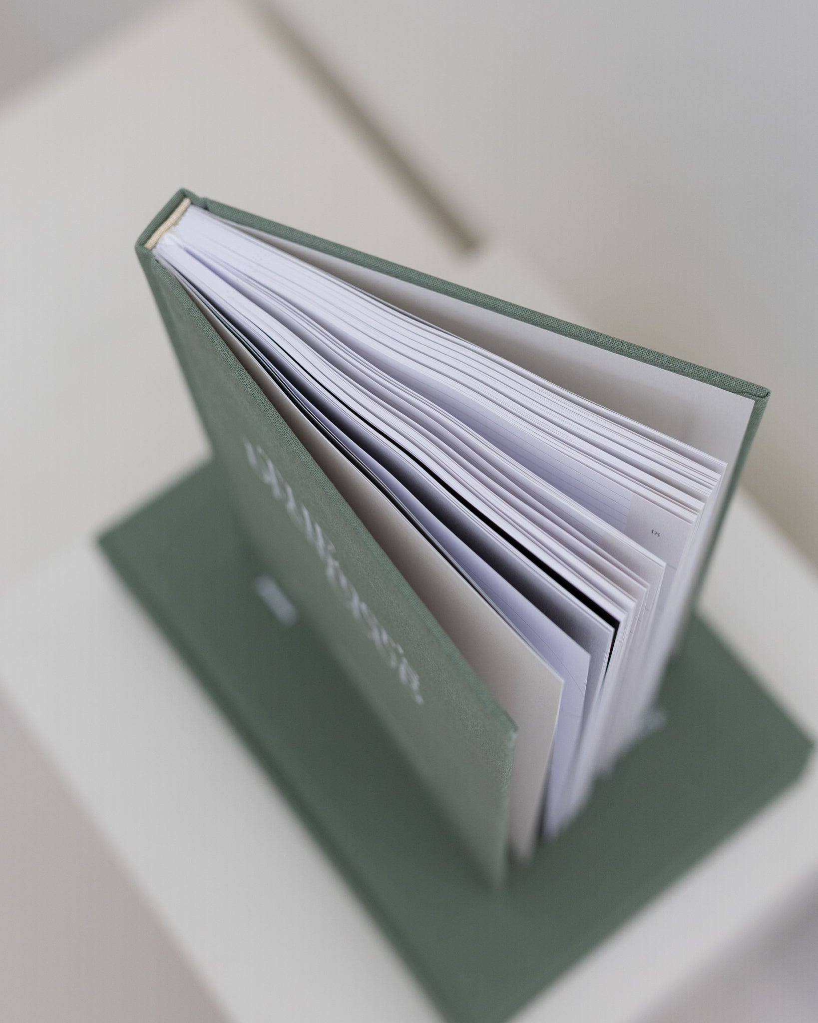 Dream Kalender 2026 "The Dreamer's Club Edition"