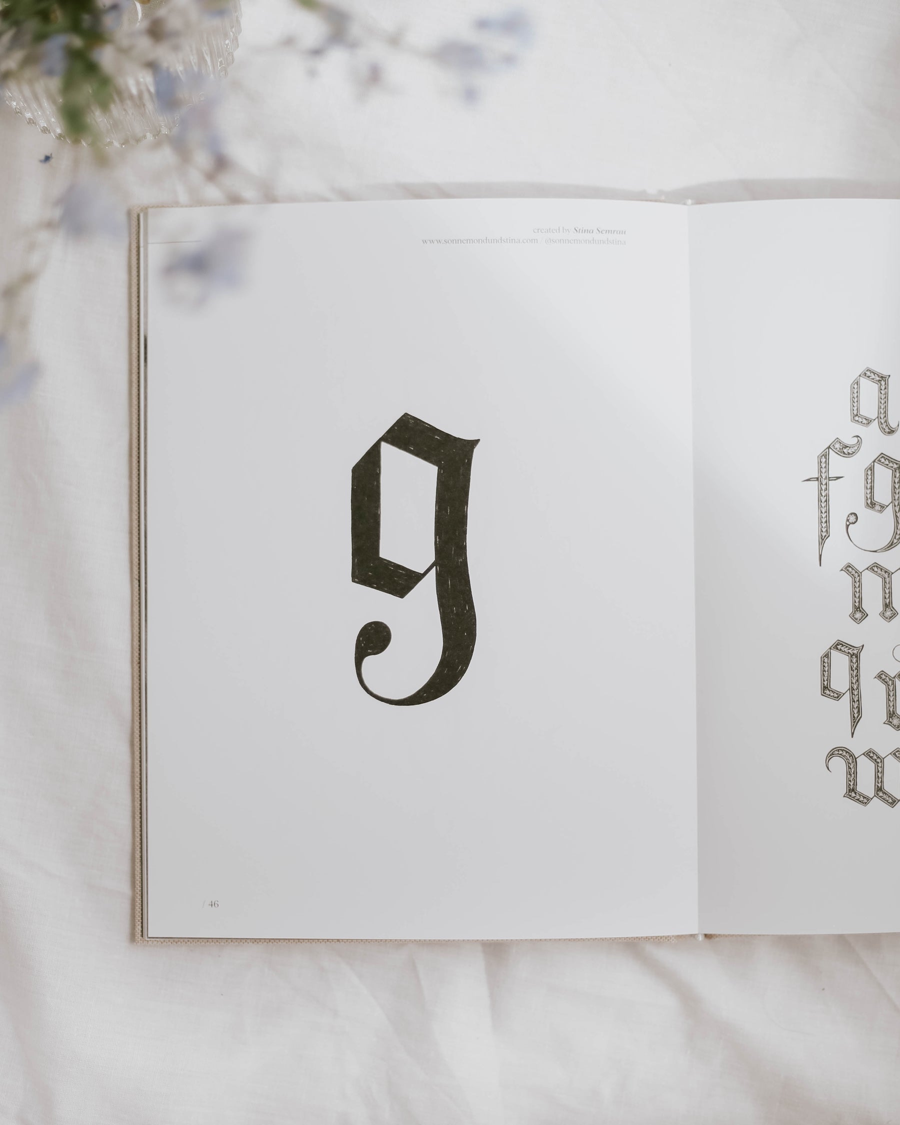 Coffee Table book "the type book"