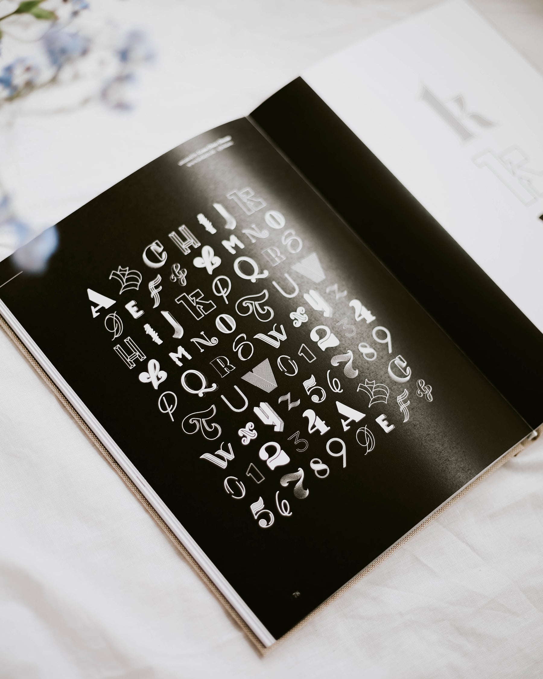 Coffee Table book "the type book"