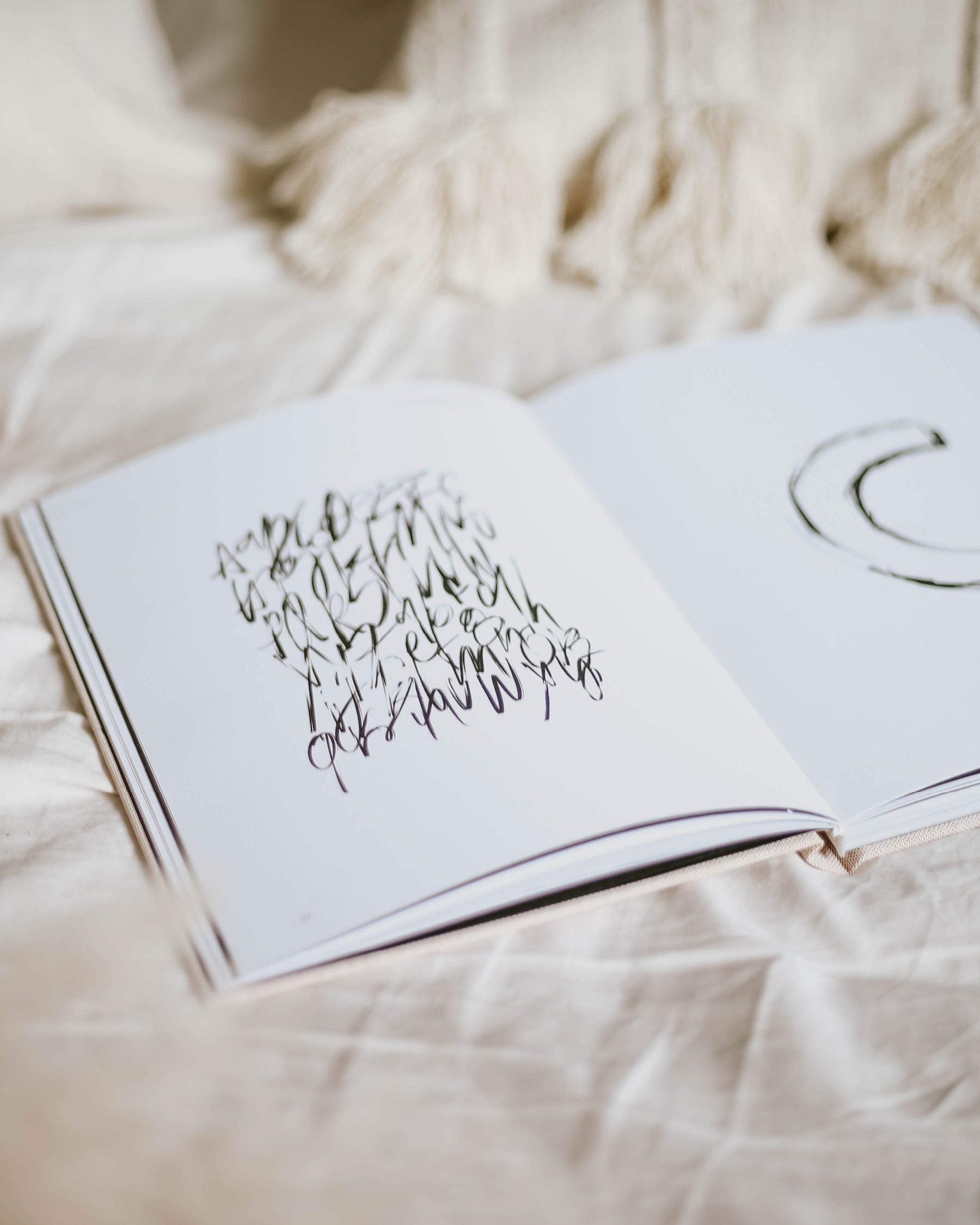 Coffee Table book "the type book"